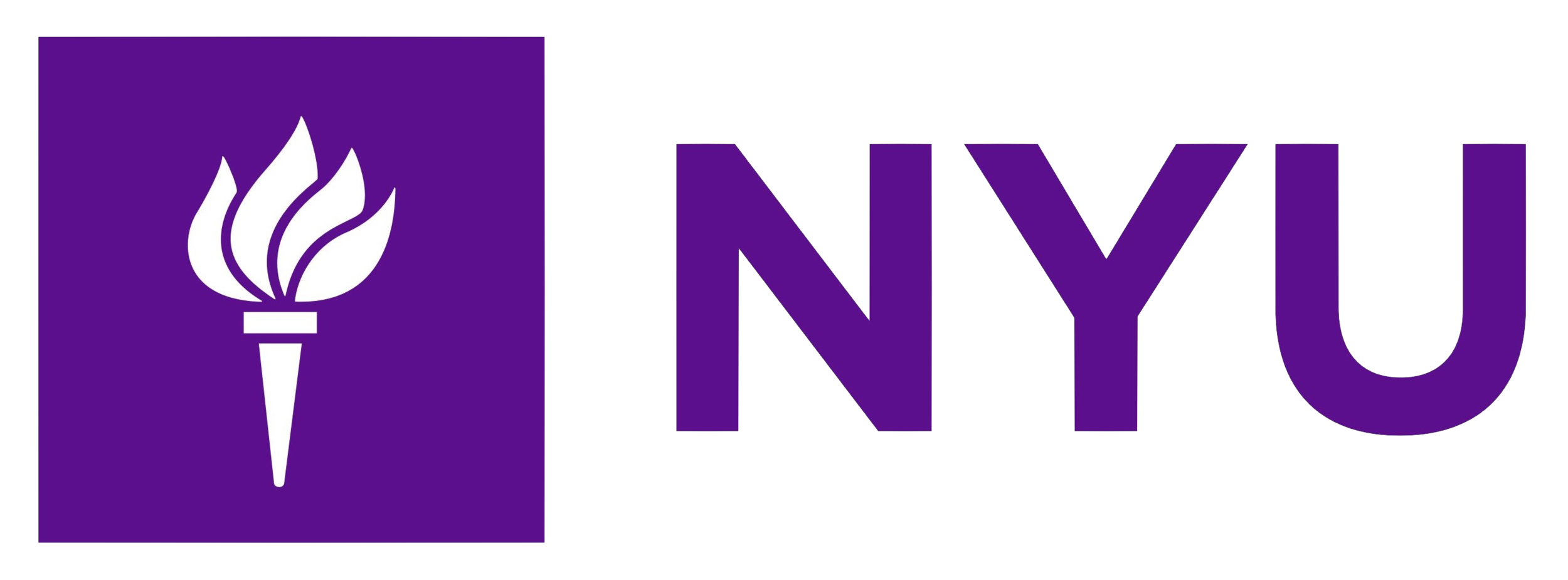 New York University