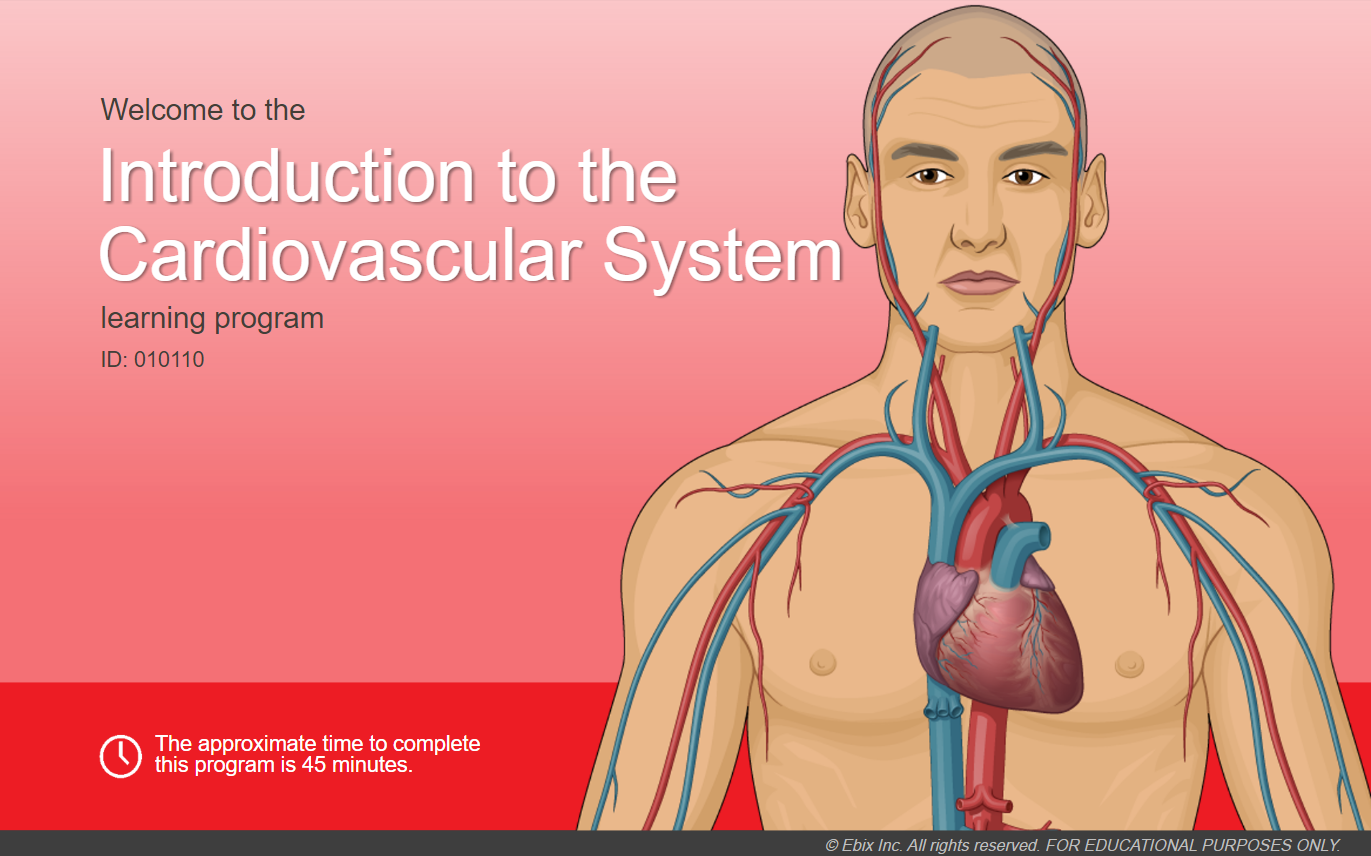 Cardiovascular-disease